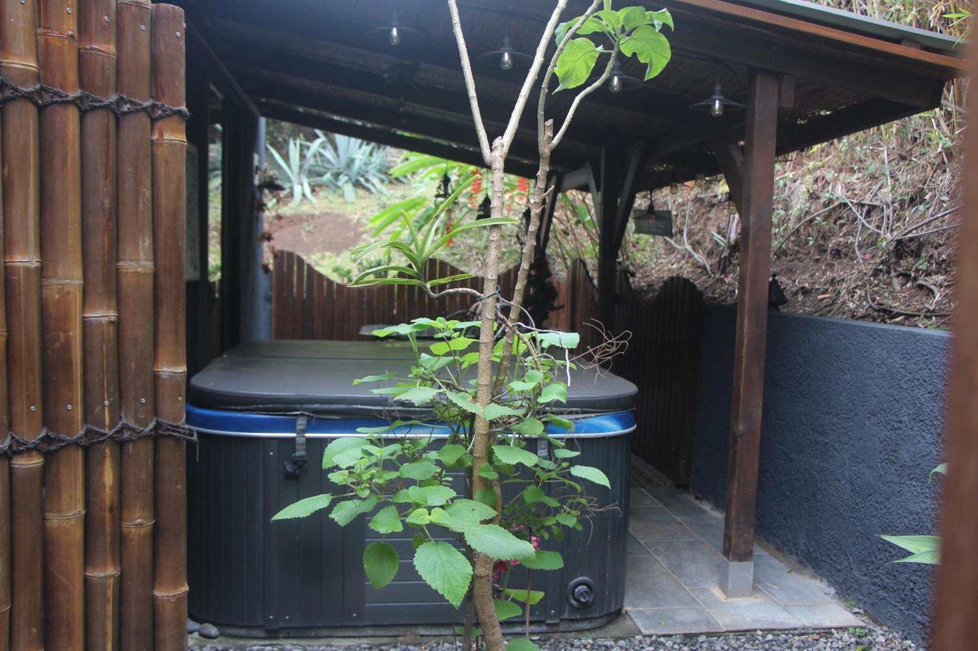 La Liane De Jade 974-Lodge Le Palissandre - Jacuzzi Privatif - Piscine Chauffee Le Bois de Nefles  外观 照片