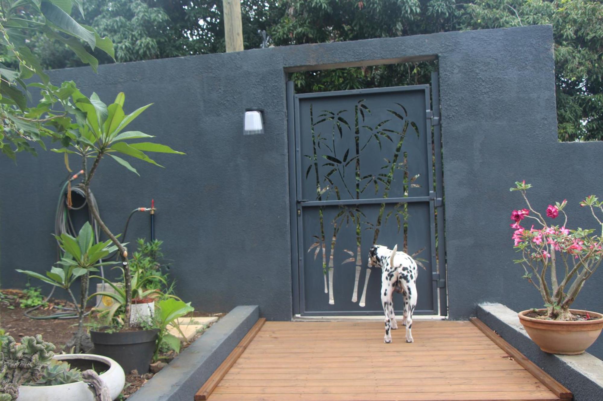 La Liane De Jade 974-Lodge Le Palissandre - Jacuzzi Privatif - Piscine Chauffee Le Bois de Nefles  外观 照片